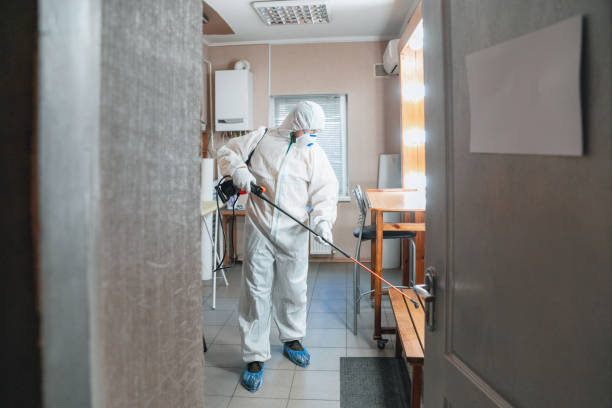 Professional Mold Removal in Brimfield, OH